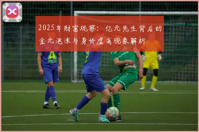 2025年财富观察：亿元先生背后的金元泡沫与身价虚高现象解析