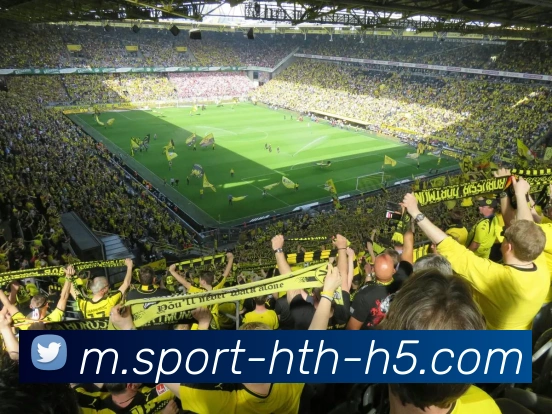 华体会体育品牌故事